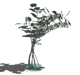 现代半透明花瓶花卉su模型