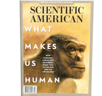 现代书籍su模型