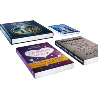 现代书籍su模型