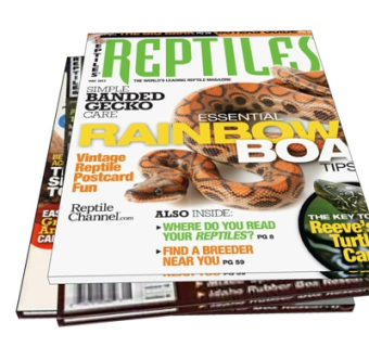 现代书籍su模型