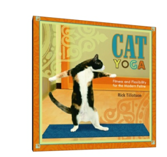 现代书籍su模型