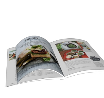 现代书籍su模型