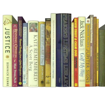 欧式书籍su模型