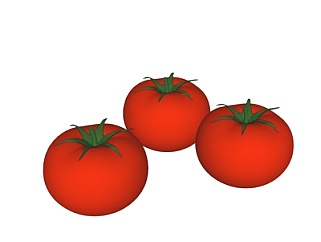 现代<em>番茄</em>su<em>模型</em>
