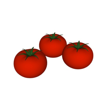 现代番茄su模型