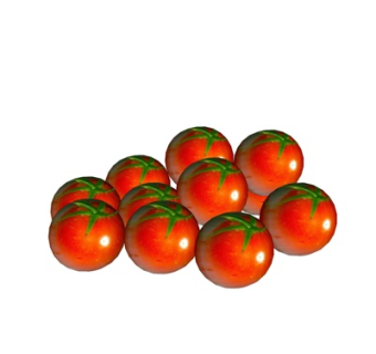 现代番茄su模型