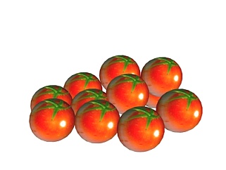 现代<em>番茄</em>su模型