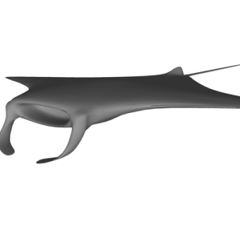 现代蝠鲼su模型