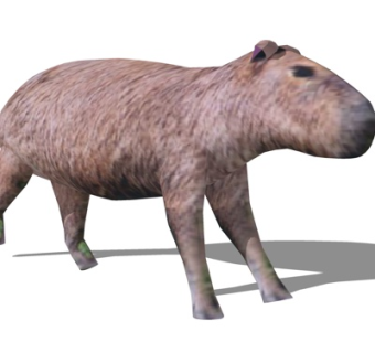 现代河马su模型