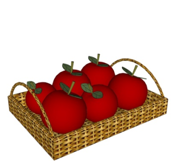 现代西红柿su模型