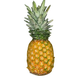 现代菠萝su模型