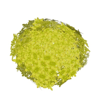 现代蔬菜su模型