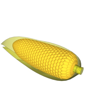 现代玉米su模型
