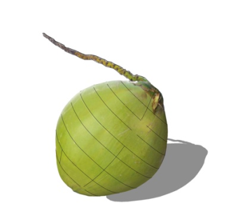 现代芒果su模型