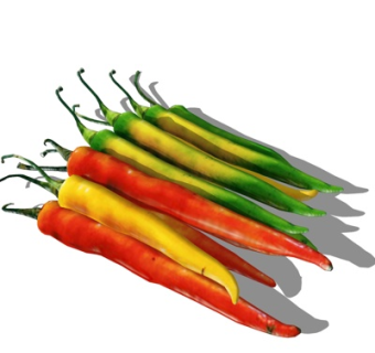 现代辣椒su模型