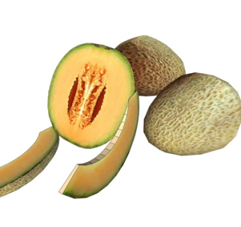 现代水果su模型