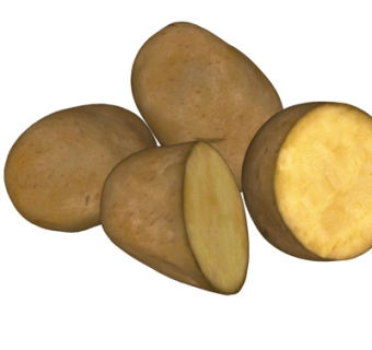 现代马铃薯su模型