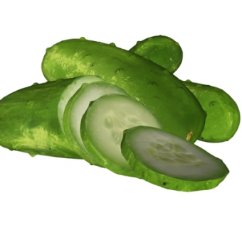 现代黄瓜su模型