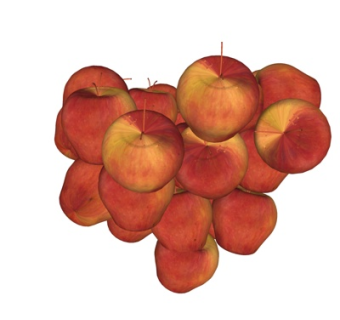 现代苹果su模型