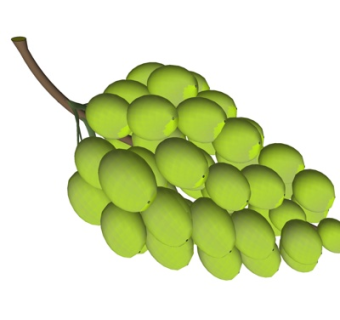 现代葡萄su模型