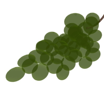 现代葡萄su模型