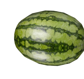 现代西瓜su模型