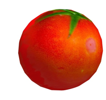 现代西红柿su模型