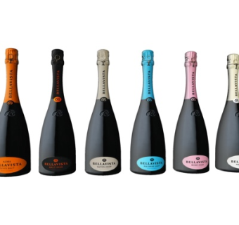 现代贝拉维斯塔酒庄干红su模型