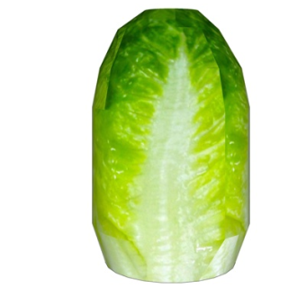 现代大白菜su模型