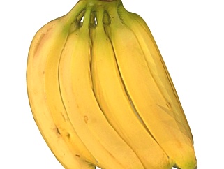 现代<em>香蕉</em>su模型