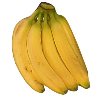 现代香蕉su模型