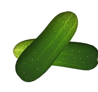 现代青瓜su模型