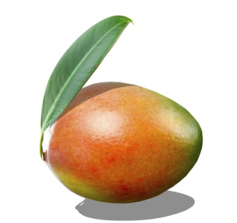 现代芒果su模型