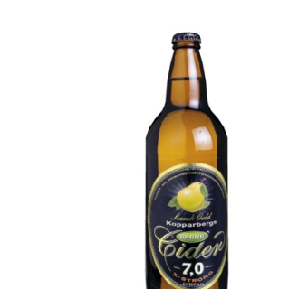 现代啤酒酒水su模型