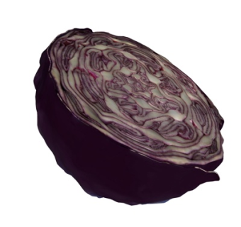 现代蛋糕su模型