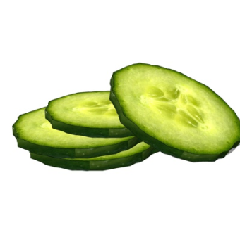 现代青瓜su模型