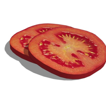 现代番茄su模型