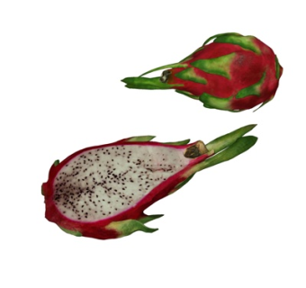 现代火龙果su模型