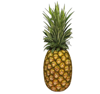 现代菠萝su模型