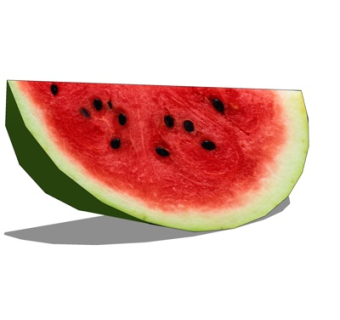 现代西瓜su模型