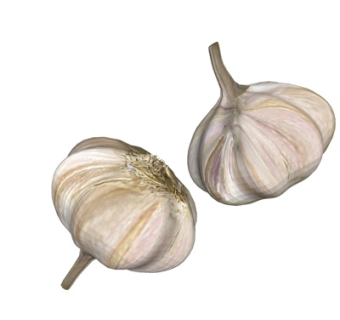 现代洋葱su模型