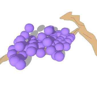 现代葡萄su模型