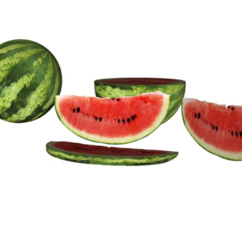 现代西瓜su模型