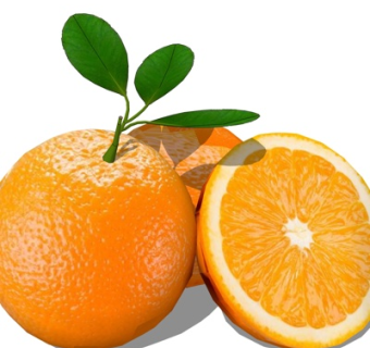 现代橙子su模型