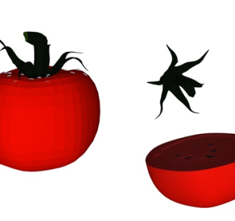 现代柿子su模型