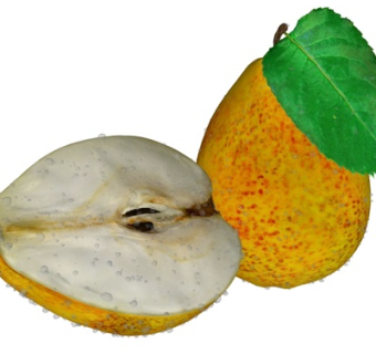 现代梨子su模型