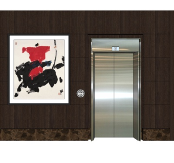 现代实木电梯门su模型