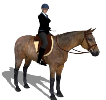 现代骑兵女角色su模型