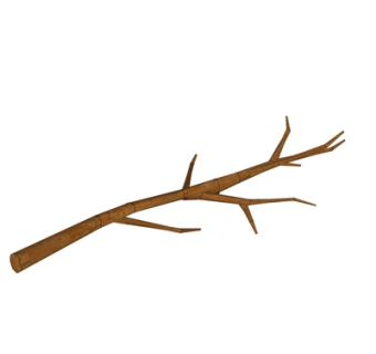 自然风树枝su模型