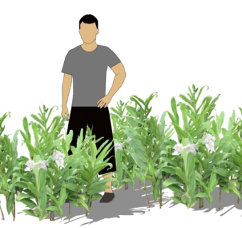 现代休闲男性su模型